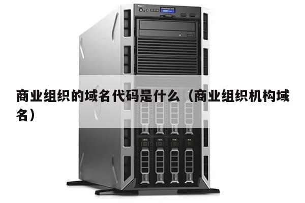 域名中商业组织代码是什么,商业组织代码 第2张 域名中商业组织代码是什么,商业组织代码 第2张