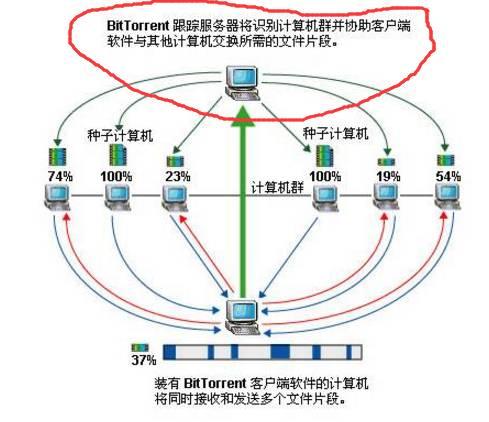 bt tracker服务器为何频繁出现连接问题？揭秘稳定使用秘籍！ 第3张