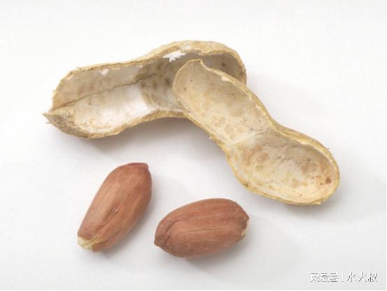 为何花生壳域名会出现不一致的情况?解析背后的原因与解决方案。 第3张 为何花生壳域名会出现不一致的情况?解析背后的原因与解决方案。 第3张