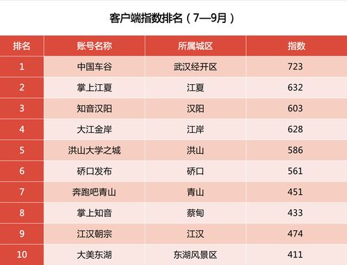 南昌哪家软件开发公司口碑最佳?揭秘南昌软件开发行业佼佼者! 第3张 南昌哪家软件开发公司口碑最佳?揭秘南昌软件开发行业佼佼者! 第3张