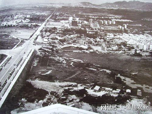 深圳是如何从一个小渔村蜕变为国际化大都市的奥秘揭秘? 第1张 深圳是如何从一个小渔村蜕变为国际化大都市的奥秘揭秘? 第1张