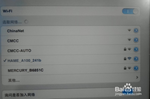 iPad如何成功建立网络连接至特定服务器?详细步骤解析! 第3张 iPad如何成功建立网络连接至特定服务器?详细步骤解析! 第3张