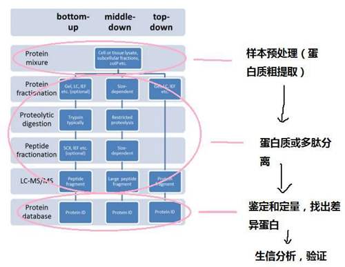 非冗余蛋白数据库有何独特之处?如何优化生物信息学研究? 第2张 非冗余蛋白数据库有何独特之处?如何优化生物信息学研究? 第2张