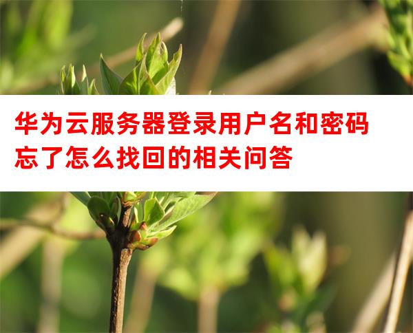 服务器用户名怎么看？忘记用户名怎么找回？