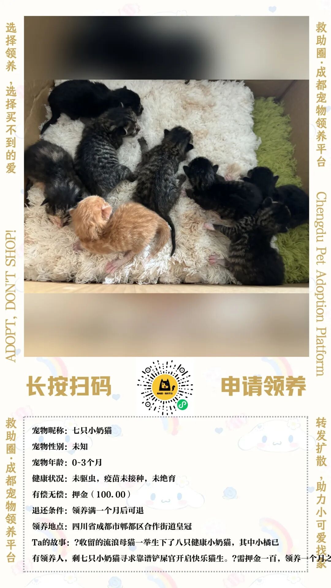 流浪动物领养平台开发怎么做?宠物领养系统开发费用 第1张 流浪动物领养平台开发怎么做?宠物领养系统开发费用 第1张