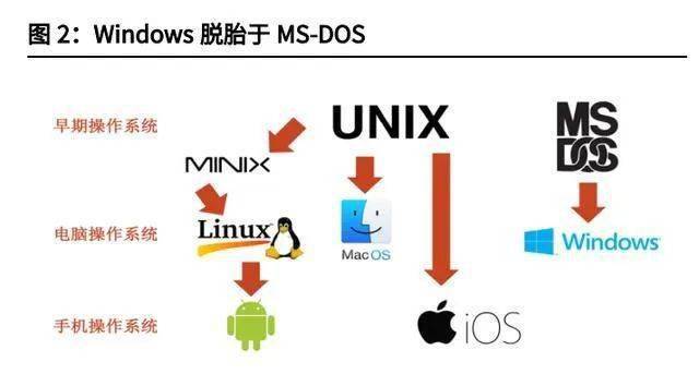 服务器操作系统排名中,Linux为何稳居首位,Windows与Unix差距悬殊,其背后原因是什么?