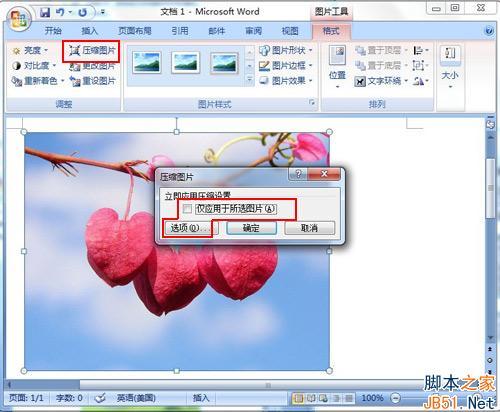 Word文档中截图无法插入?探究截图放不进去的五大原因 第2张 Word文档中截图无法插入?探究截图放不进去的五大原因 第2张