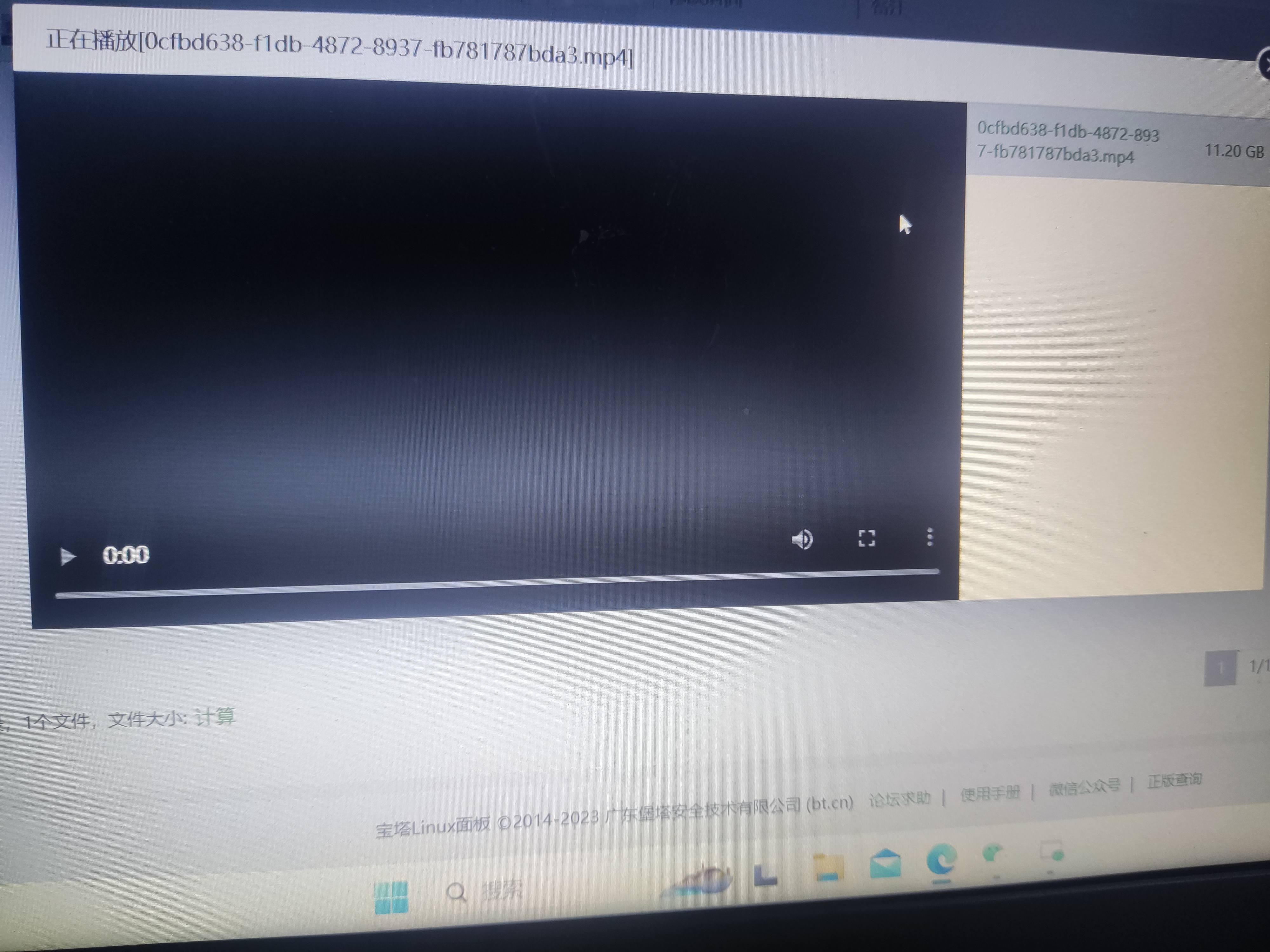 阿里云虚拟主机为何无法播放MP4文件夹内的视频文件? 第2张 阿里云虚拟主机为何无法播放MP4文件夹内的视频文件? 第2张