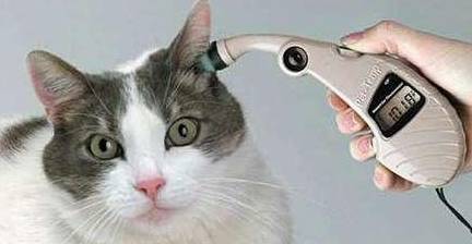 宽带猫发热怎么办?猫发热原因及解决方法 第3张 宽带猫发热怎么办?猫发热原因及解决方法 第3张