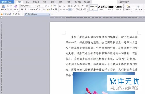 WPS文档为何空白区域文字无法正常输入? 第1张 WPS文档为何空白区域文字无法正常输入? 第1张