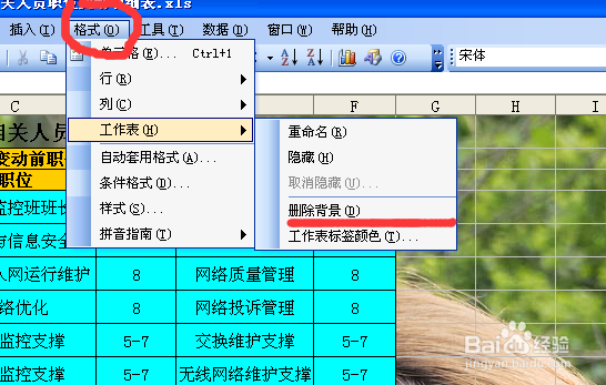 Excel 2007为何设计时未提供删除单元格背景的功能?背后原因是什么? 第2张 Excel 2007为何设计时未提供删除单元格背景的功能?背后原因是什么? 第2张
