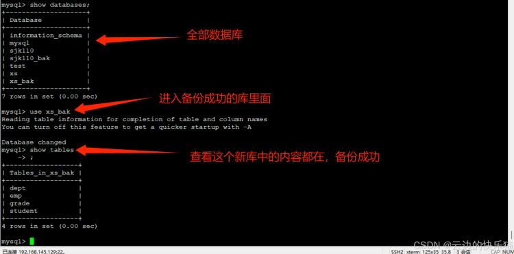 如何高效备份数据库中的具体表?详细步骤与技巧揭秘! 第1张 如何高效备份数据库中的具体表?详细步骤与技巧揭秘! 第1张