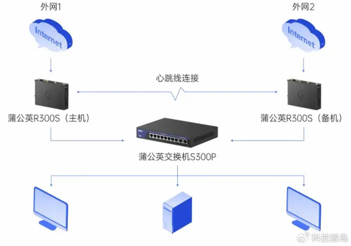 湖南蒲公英服务器,为何在业内外备受关注与争议? 第1张 湖南蒲公英服务器,为何在业内外备受关注与争议? 第1张