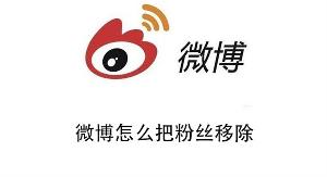 微博突然移除粉丝,背后原因究竟是什么? 第3张 微博突然移除粉丝,背后原因究竟是什么? 第3张