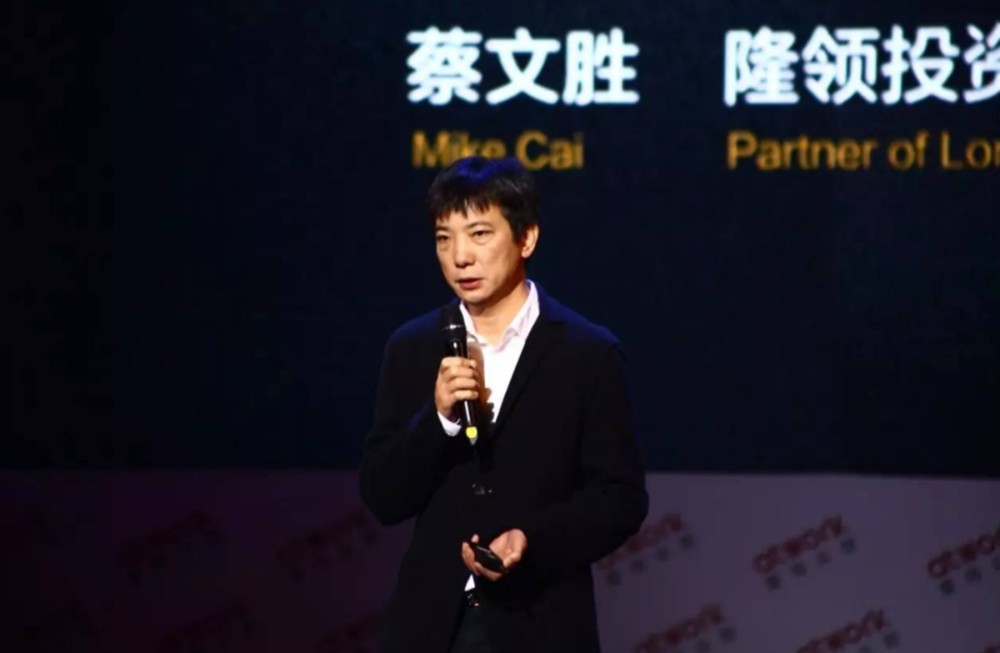 蔡文胜投资域名,蔡文胜为什么投资域名 第2张 蔡文胜投资域名,蔡文胜为什么投资域名 第2张