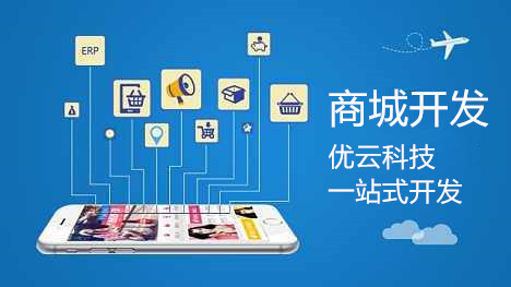 广州b2c开发如何实现高效与成本优化?探讨最新趋势与解决方案! 第3张 广州b2c开发如何实现高效与成本优化?探讨最新趋势与解决方案! 第3张