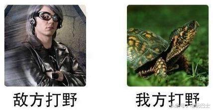 敌方配置怎么破?敌方配置详解 第1张 敌方配置怎么破?敌方配置详解 第1张