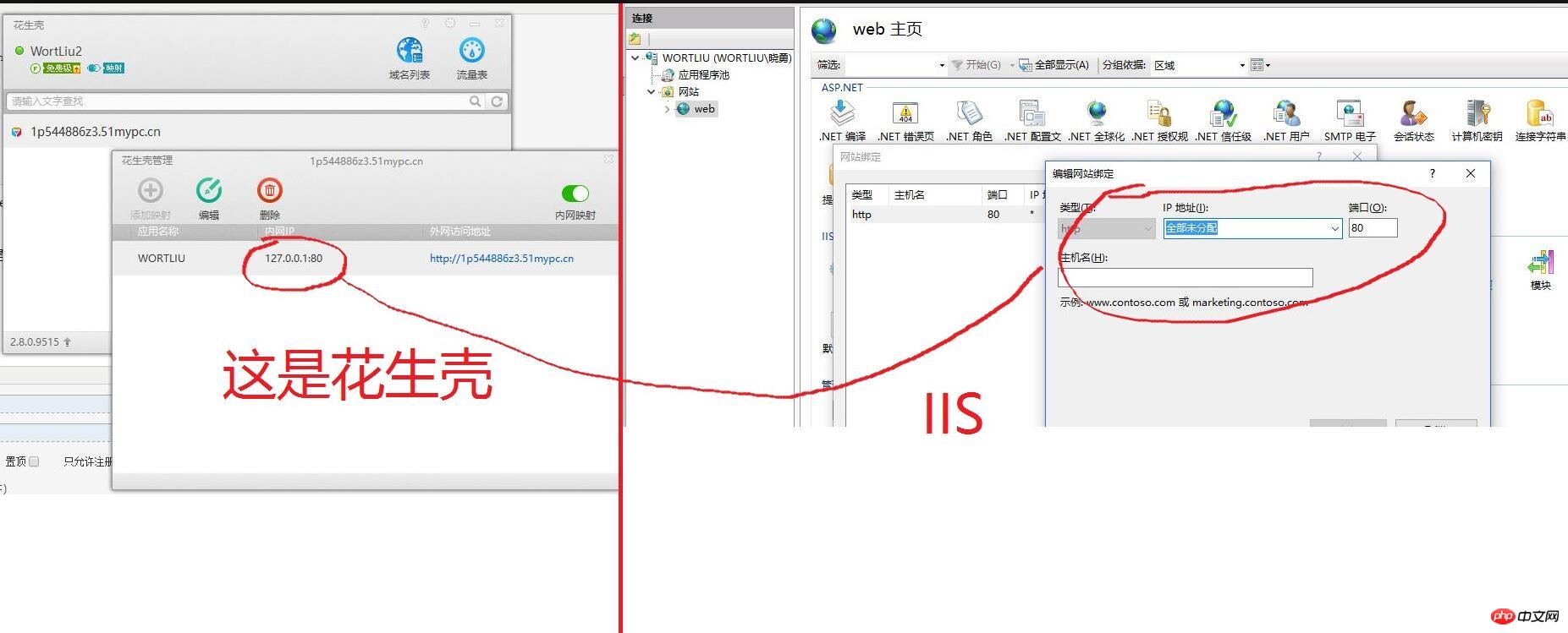 花生壳域名怎么绑定IIS,iis配置花生壳域名教程 第1张 花生壳域名怎么绑定IIS,iis配置花生壳域名教程 第1张