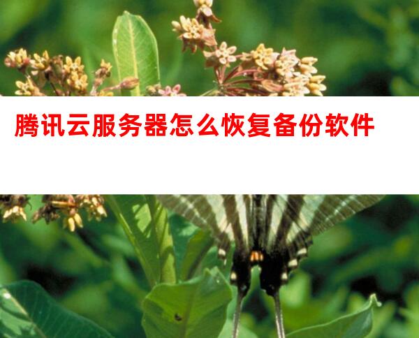 服务器恢复备份 第2张 服务器恢复备份 第2张