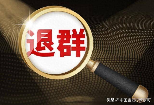为何我在群聊中突然消失,被移除还是自动退群,背后原因揭秘? 第1张 为何我在群聊中突然消失,被移除还是自动退群,背后原因揭秘? 第1张