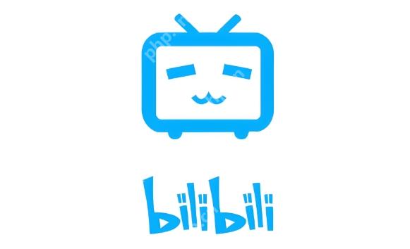 bilibili弹幕消失背后的原因揭秘,究竟发生了什么? 第3张 bilibili弹幕消失背后的原因揭秘,究竟发生了什么? 第3张