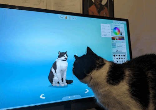 小猫咪虚拟主机究竟该如何操作和娱乐?新手入门疑问解答 第2张 小猫咪虚拟主机究竟该如何操作和娱乐?新手入门疑问解答 第2张