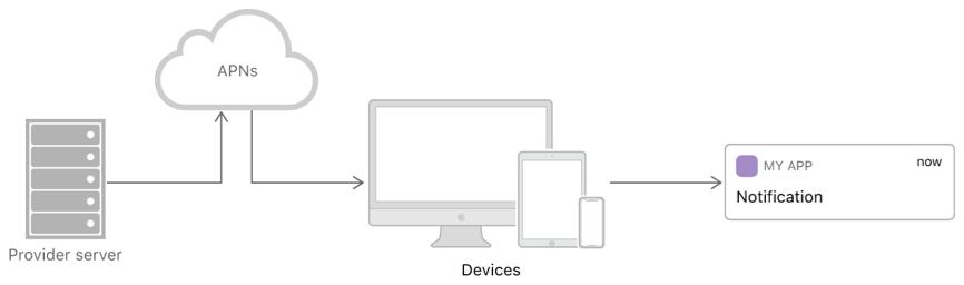 iPhone如何实现与服务器高效连接的详细步骤解析? 第3张 iPhone如何实现与服务器高效连接的详细步骤解析? 第3张