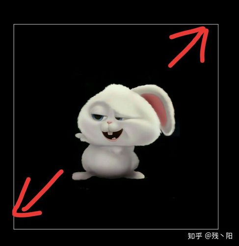 为何透明头像设计成不透明?背后原因令人好奇! 第2张 为何透明头像设计成不透明?背后原因令人好奇! 第2张