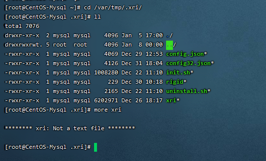 1130 MySQL服务器为何突然出现异常?紧急排查与优化建议! 第1张 1130 MySQL服务器为何突然出现异常?紧急排查与优化建议! 第1张