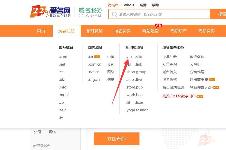vip域名网站是什么,vip域名网站怎么注册 第2张 vip域名网站是什么,vip域名网站怎么注册 第2张