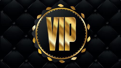 vip域名网站是什么,vip域名网站怎么注册 第3张 vip域名网站是什么,vip域名网站怎么注册 第3张