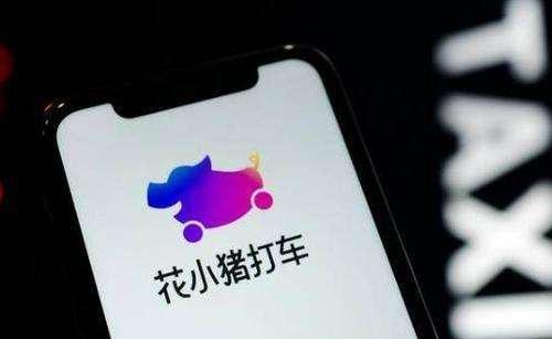 花小猪津贴使用限制揭秘,为何津贴无法在花小猪平台使用? 第1张 花小猪津贴使用限制揭秘,为何津贴无法在花小猪平台使用? 第1张