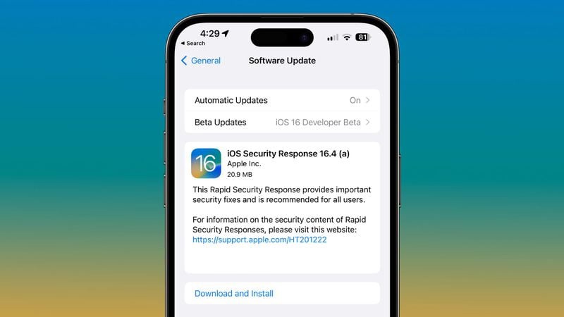 iOS应用软件开发中,如何确保兼容性最佳实践与高效性能兼顾? 第1张 iOS应用软件开发中,如何确保兼容性最佳实践与高效性能兼顾? 第1张