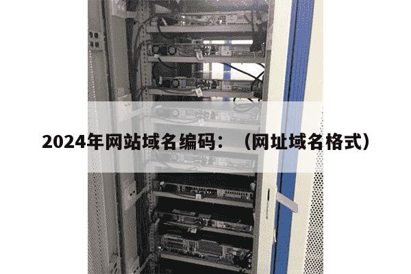 网站域名的格式