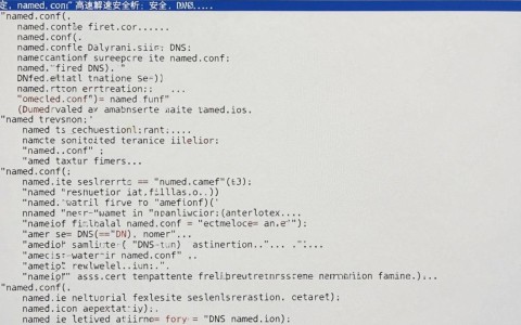 Linux DNS服务器安装后无法解析怎么办? 第2张 Linux DNS服务器安装后无法解析怎么办? 第2张