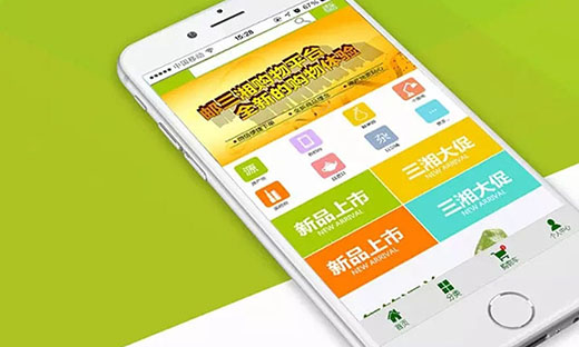 番禺微商城开发哪家好?专业番禺微商城定制开发公司推荐 第1张 番禺微商城开发哪家好?专业番禺微商城定制开发公司推荐 第1张