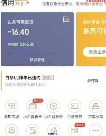 为何京东白条突然失去额度？背后原因究竟是什么？ 第1张
