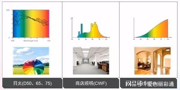如何选择服务器与VPS?新手必看的关键区别与适用场景 第3张 如何选择服务器与VPS?新手必看的关键区别与适用场景 第3张
