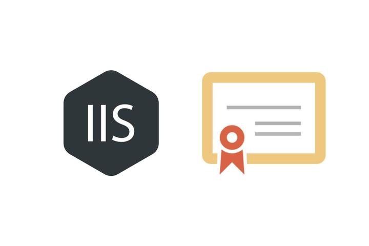 IIS的SSL配置教程，IIS服务器SSL证书安装配置方法 第3张