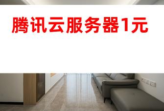 1元云服务器 第2张 1元云服务器 第2张