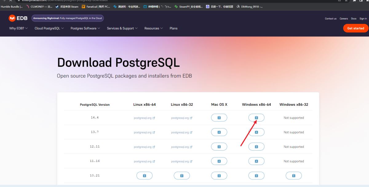 PostgreSQL官方下载渠道安全吗?新手安装使用常见问题有哪些? 第2张 PostgreSQL官方下载渠道安全吗?新手安装使用常见问题有哪些? 第2张