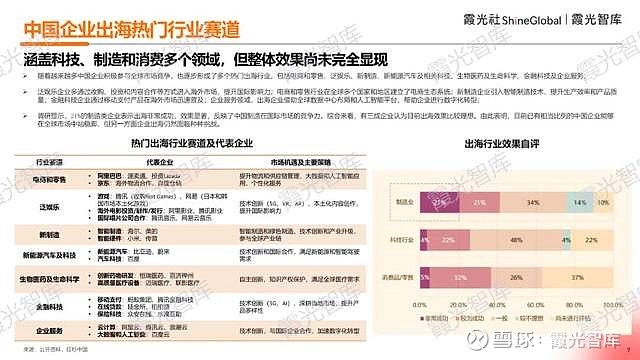 国际网络开发有限公司的商业模式与全球市场策略,为何在竞争激烈中脱颖而出? 第2张 国际网络开发有限公司的商业模式与全球市场策略,为何在竞争激烈中脱颖而出? 第2张