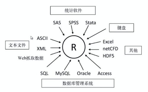 在R语言中具体操作步骤是怎样的?如何高效保存数据库? 第3张 在R语言中具体操作步骤是怎样的?如何高效保存数据库? 第3张