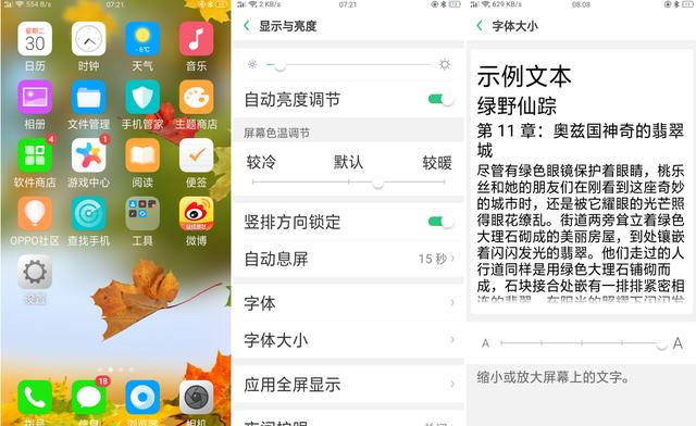 OPPO手机为何无法自由更换或输入自定义字体?技术限制还是其他原因? 第3张 OPPO手机为何无法自由更换或输入自定义字体?技术限制还是其他原因? 第3张