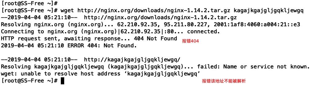 如何在Go语言中高效执行Linux命令？探讨最佳实践与技巧。 第1张