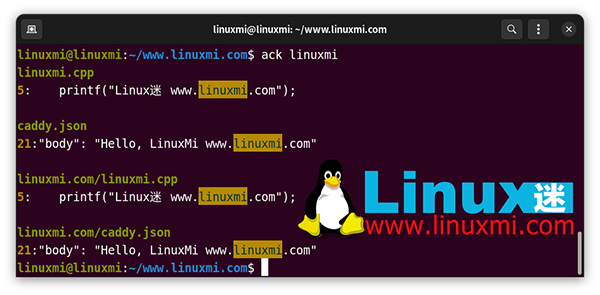 如何在Go语言中高效执行Linux命令？探讨最佳实践与技巧。 第3张