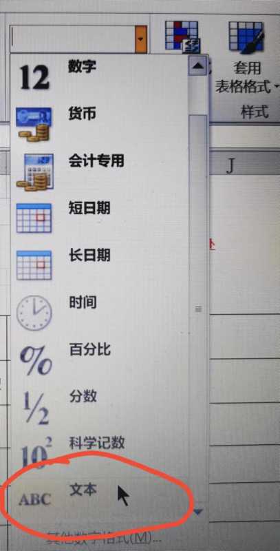 为什么Excel表格中数据序号显示为001而不是常规数字?原因解析揭秘! 第2张 为什么Excel表格中数据序号显示为001而不是常规数字?原因解析揭秘! 第2张