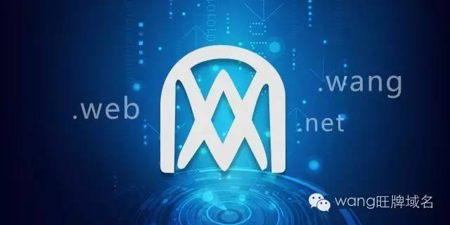 wang域名投资赚钱吗,wang域名投资价值 第1张 wang域名投资赚钱吗,wang域名投资价值 第1张