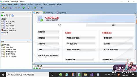 Oracle数据库中如何高效添加新字段的方法详解? 第1张 Oracle数据库中如何高效添加新字段的方法详解? 第1张
