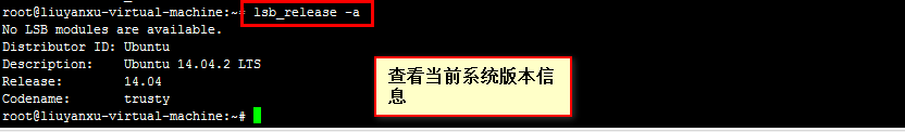 linux 如何查看电脑sn 第3张 linux 如何查看电脑sn 第3张